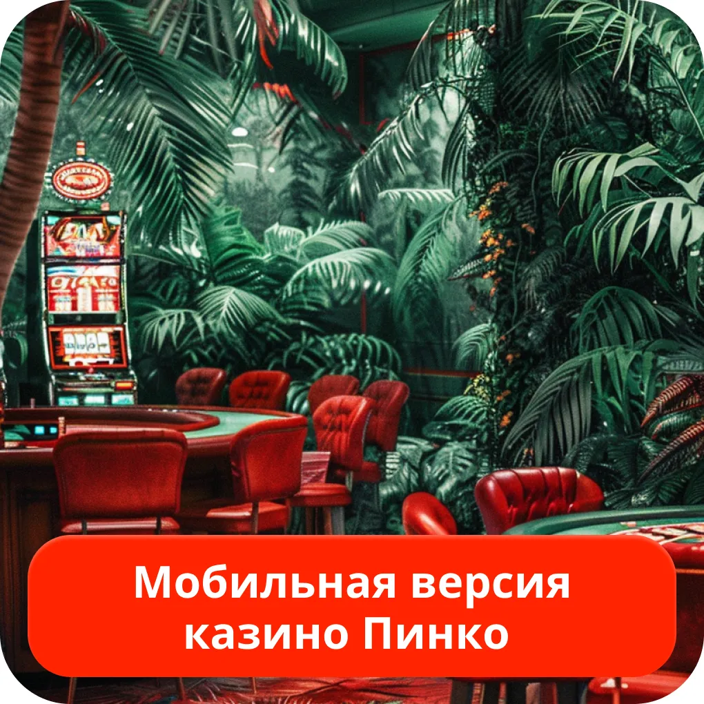 Pinco мобильный доступ Pinco мобильная версия